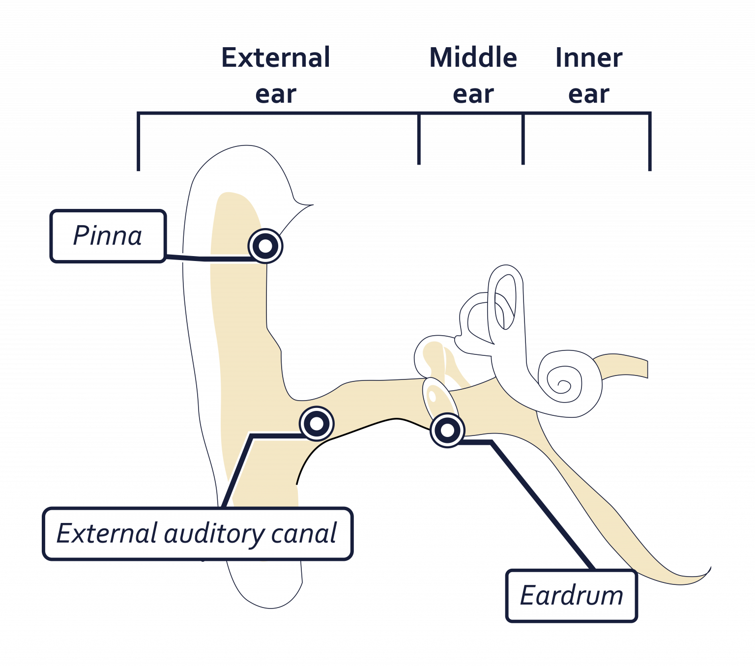 Otitis Laboratoires Grimberg